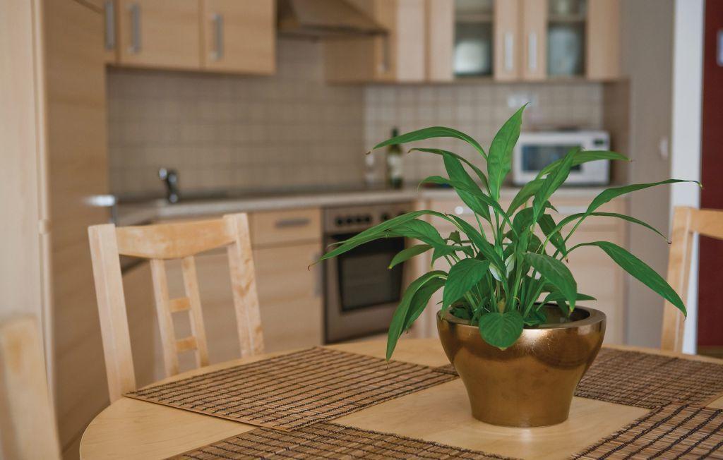 Bpm-Apartment Kiraly บูดาเปสต์ ห้อง รูปภาพ